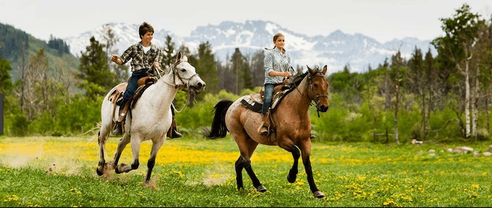 Confident plus-size woman riding Bridge End a horse through a field with a smile on her face.